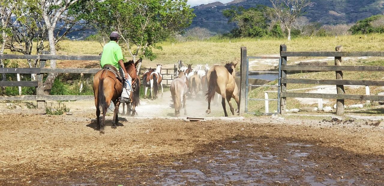 Hotel Hacienda El Rodeo Vueltas Εξωτερικό φωτογραφία